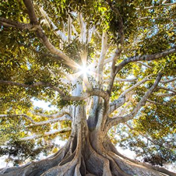 Photo by Jeremy Bishop on Unsplash